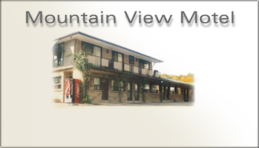 The Mountain View Hotel In Hamilton Ontario Canada