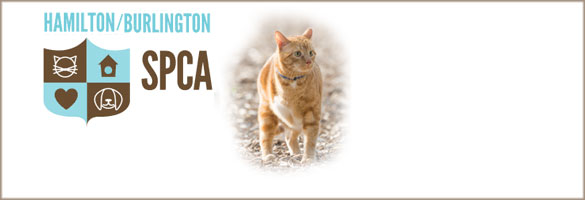 SPCA Hamilton & Burlington Society for the Prevention of Cruelty to Animals