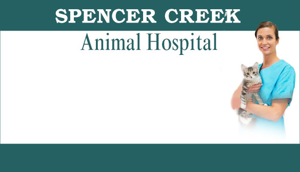 Spencer Creek Animal Hospital in Dundas Ontario